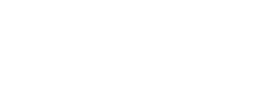 AIVET logo White